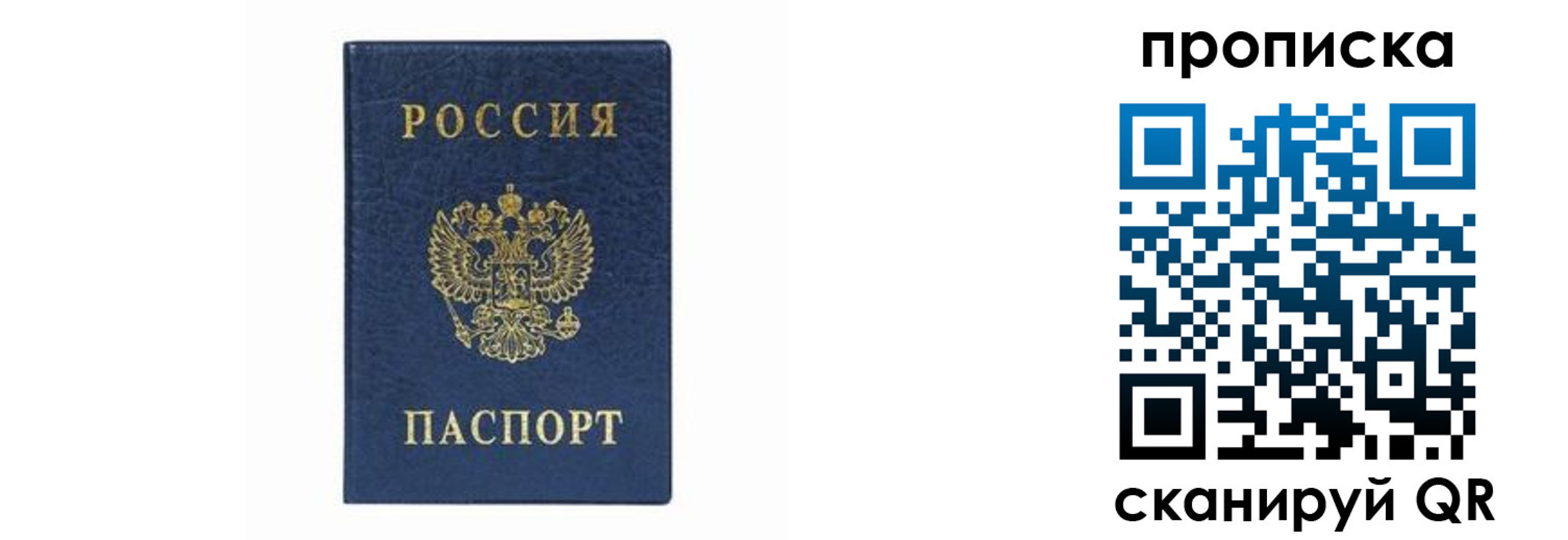 временная регистрация поиск в Коле